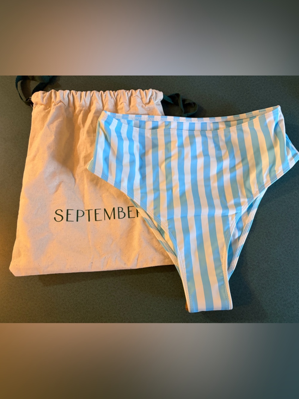 September the Line Swim Blue & White Striped Bikini Bottom